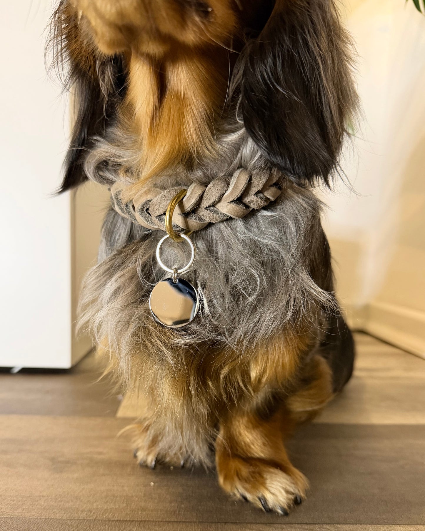 Hundemarke Rund mit Herz/Pfote
