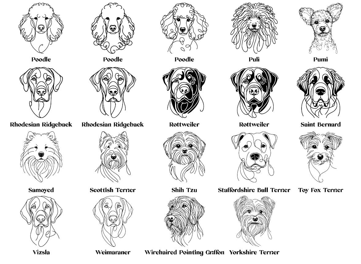 Heimtierausweishülle personalisiert