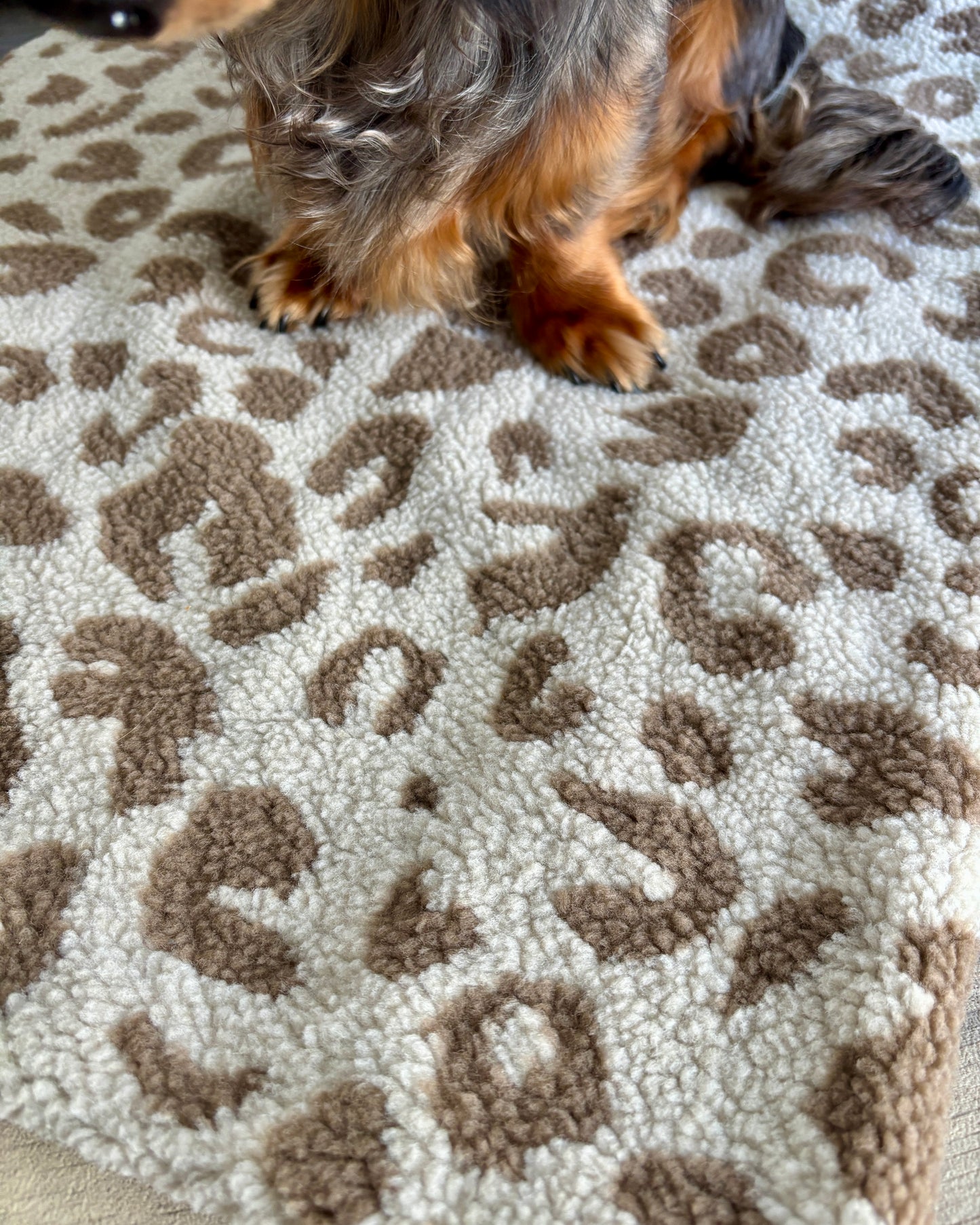 Kuscheldecke Leo hell