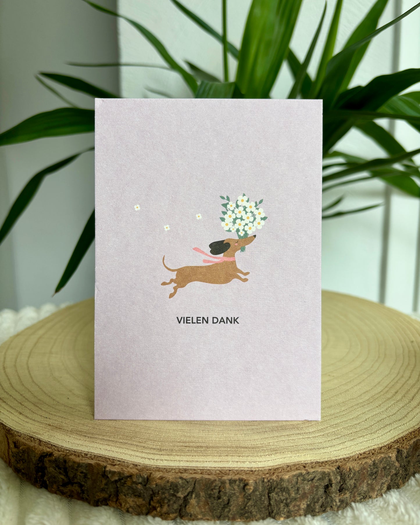 Postkarte Dackel verschiedene Anlässe