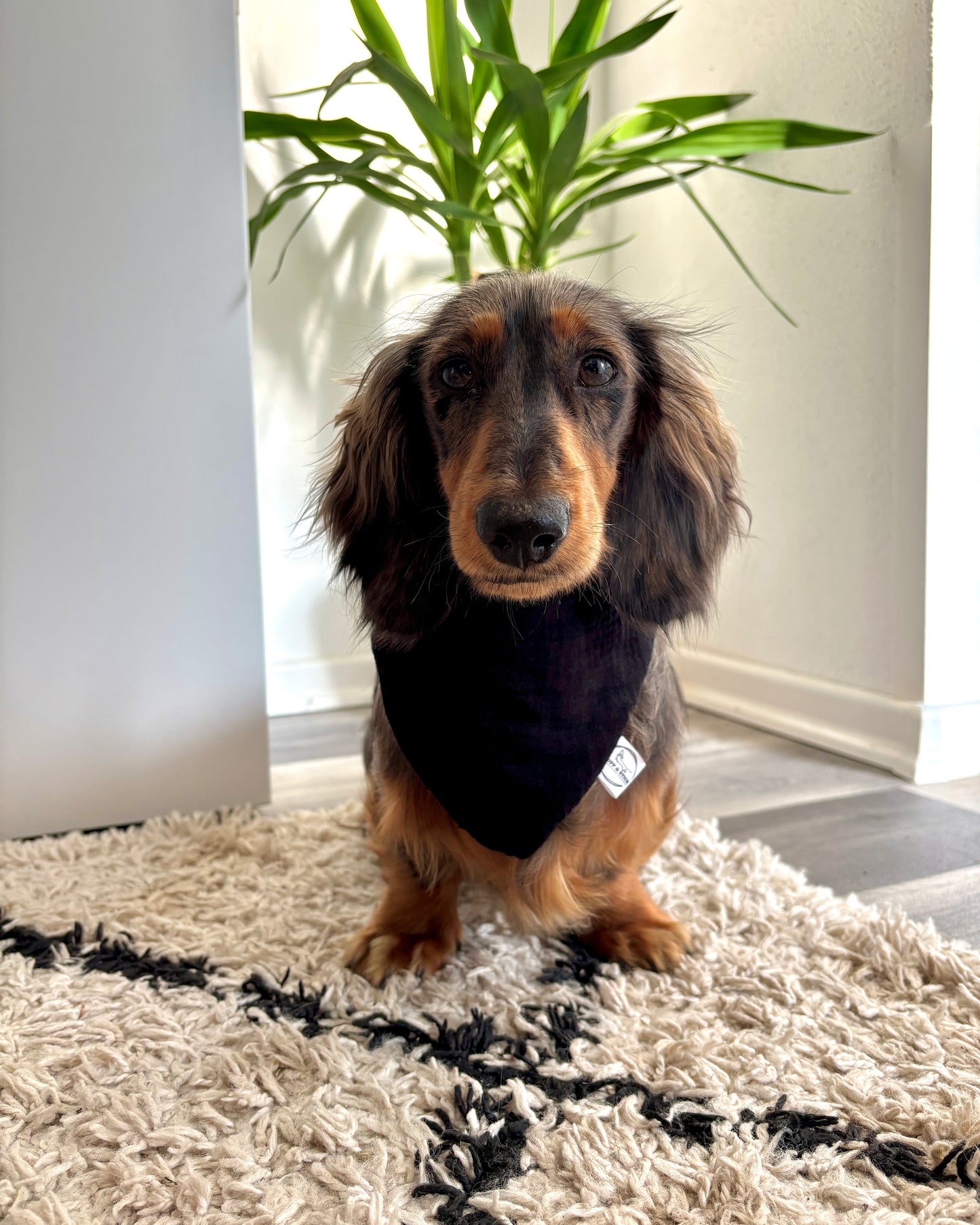 Halstuch Musselin „Blacky“ personalisiert