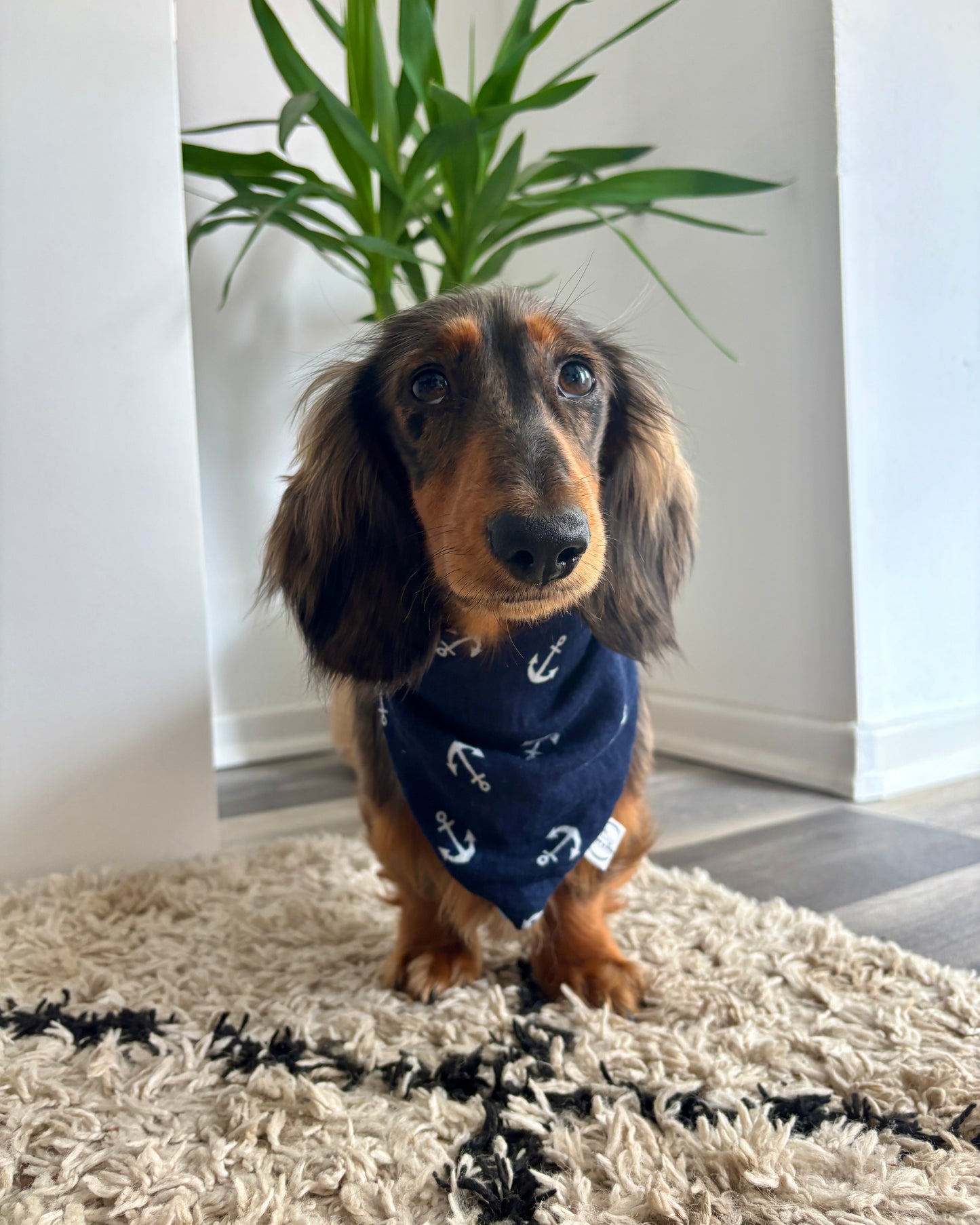 Halstuch „Maritim“