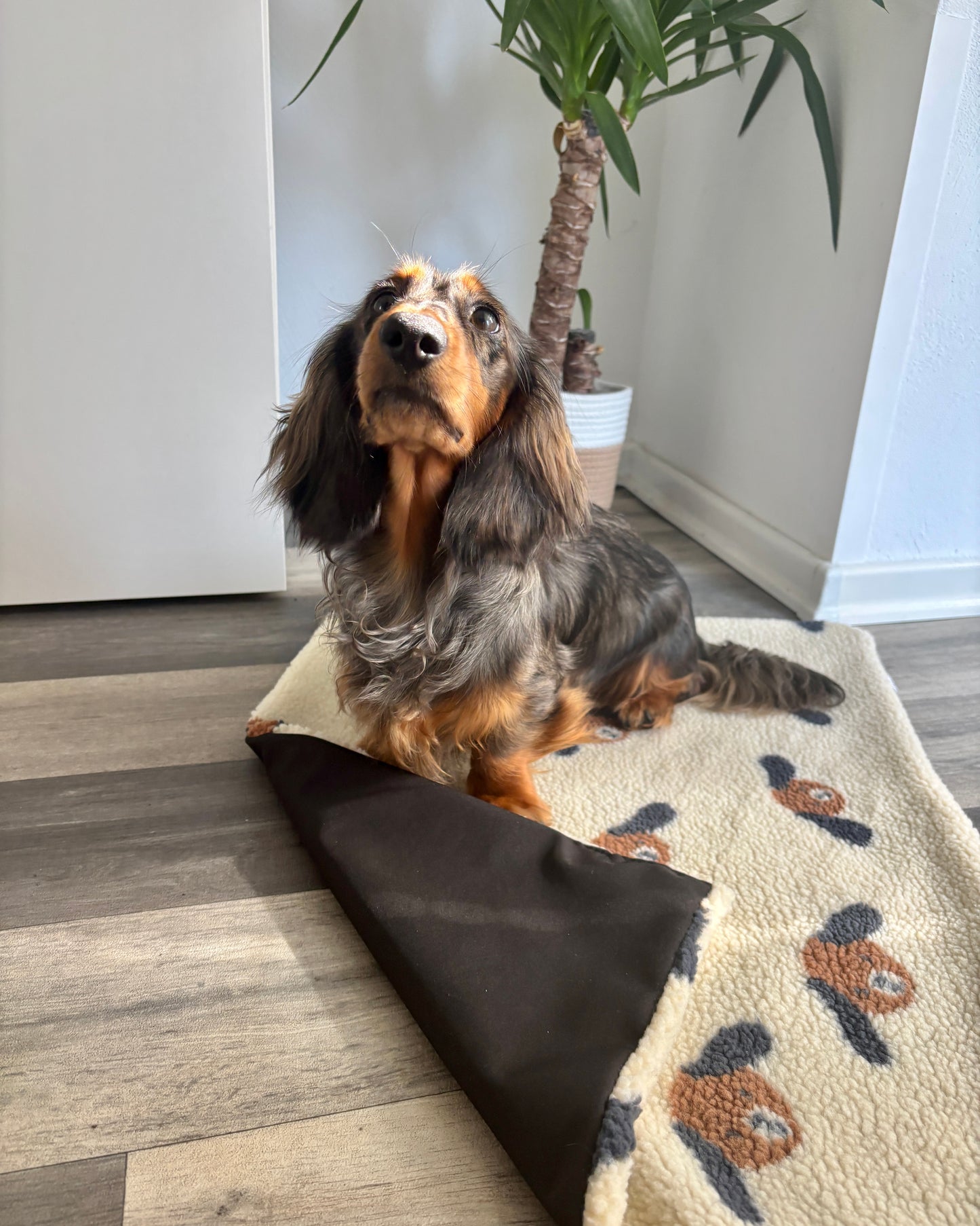 Outdoor Kuscheldecke „Hundis“