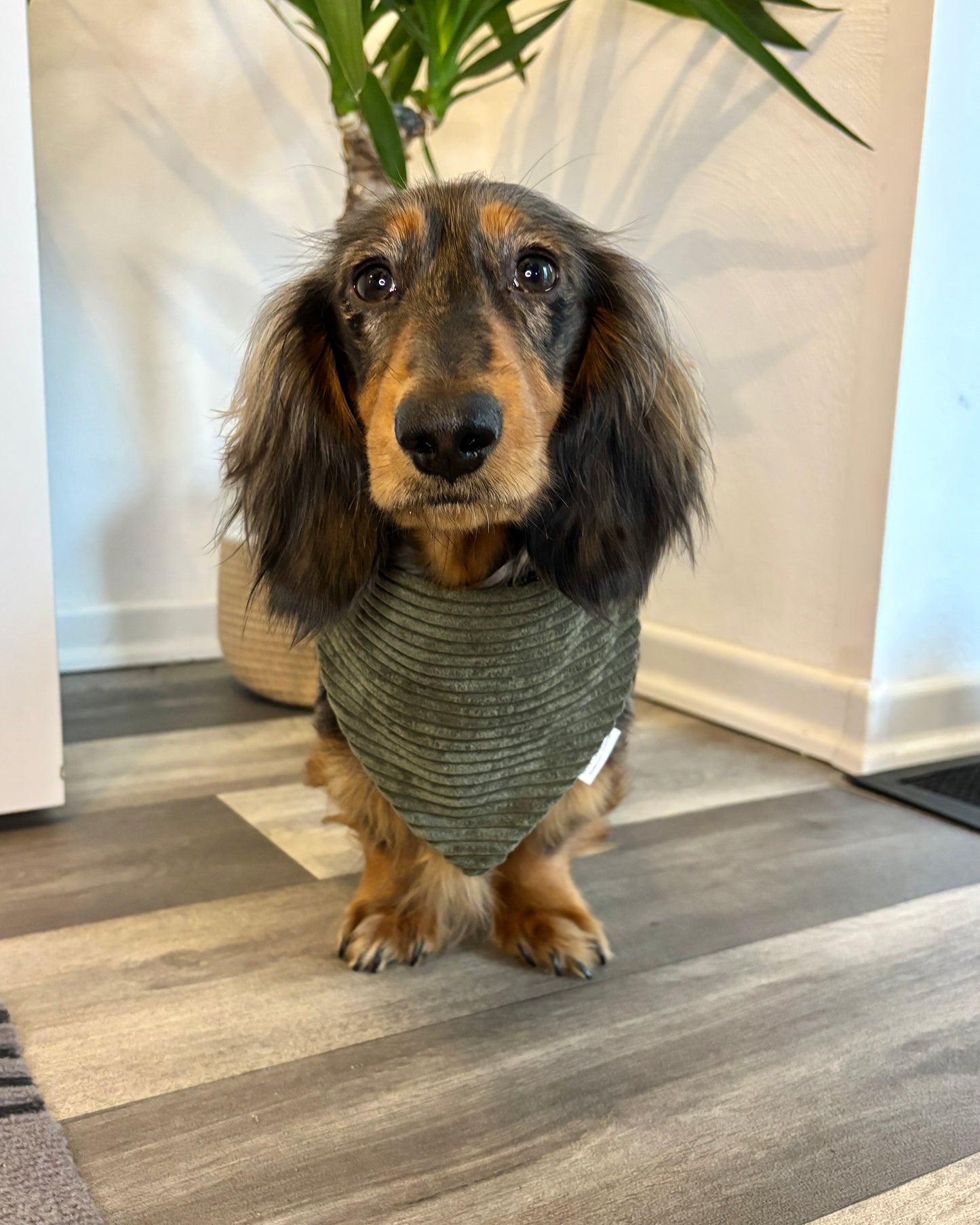 Halstuch Cord „Dunkelgrün“ personalisiert