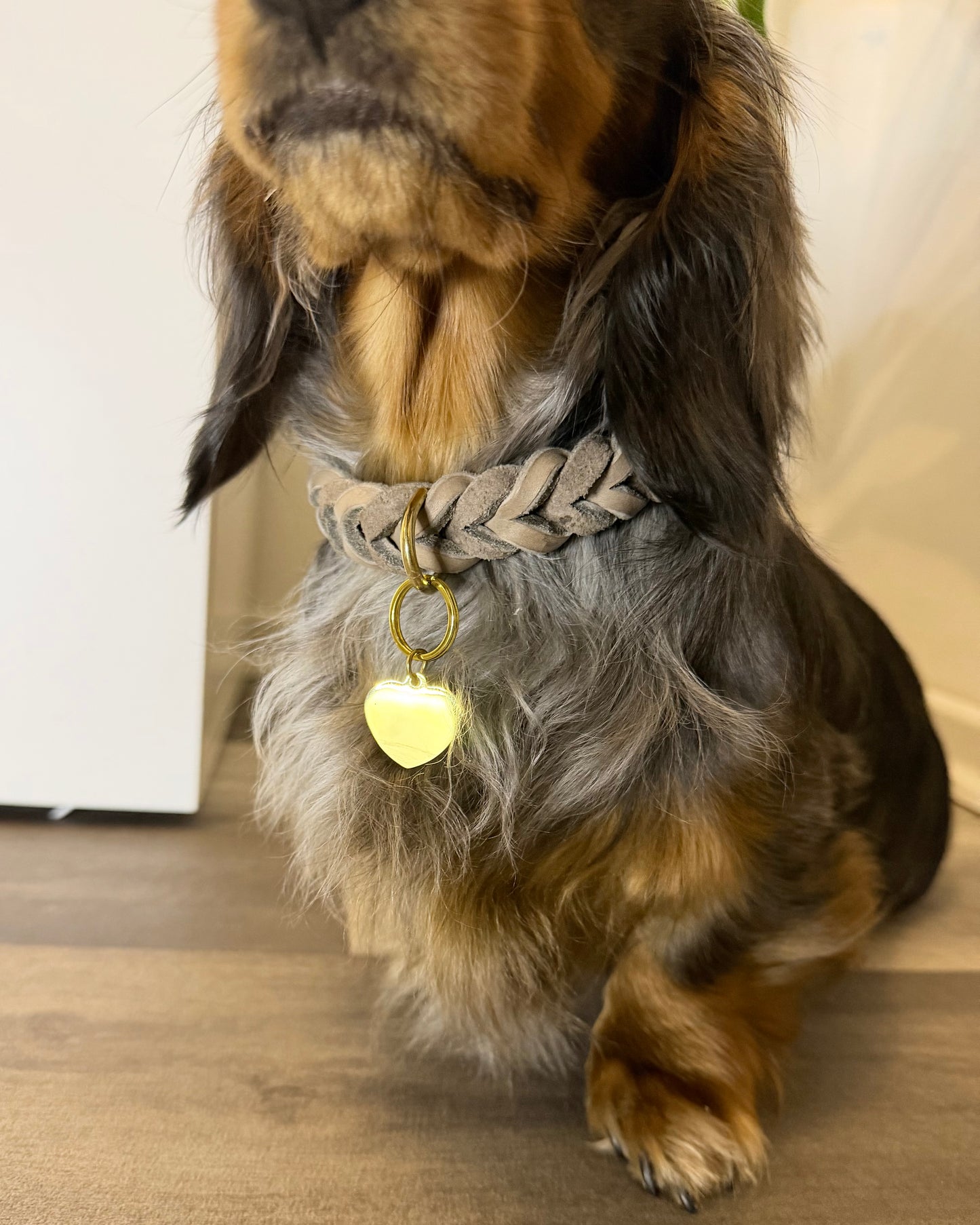 Hundemarke Herzchen