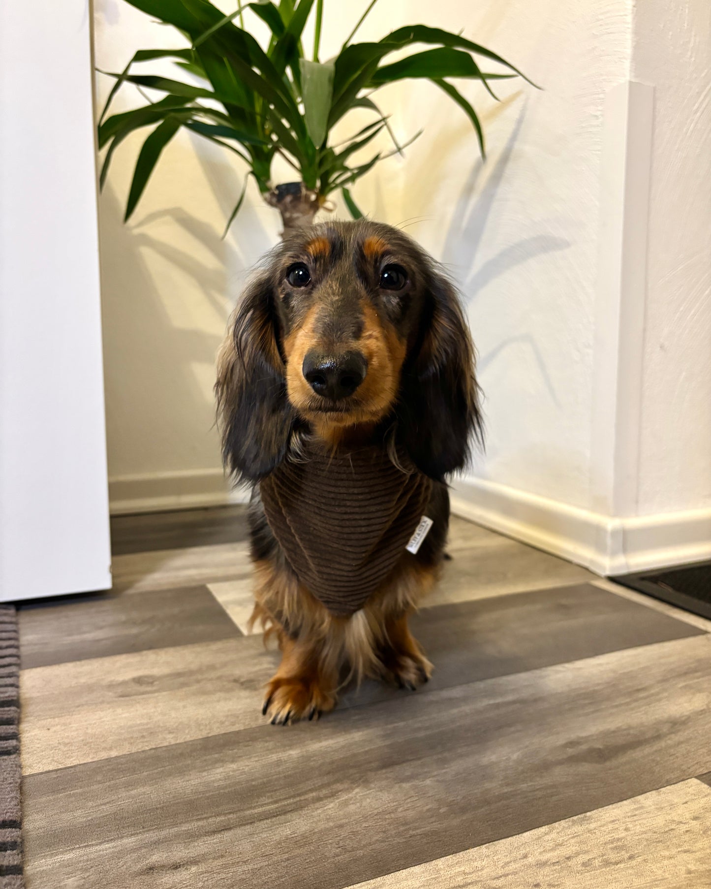 Halstuch Cord „Dunkelbraun“ personalisiert