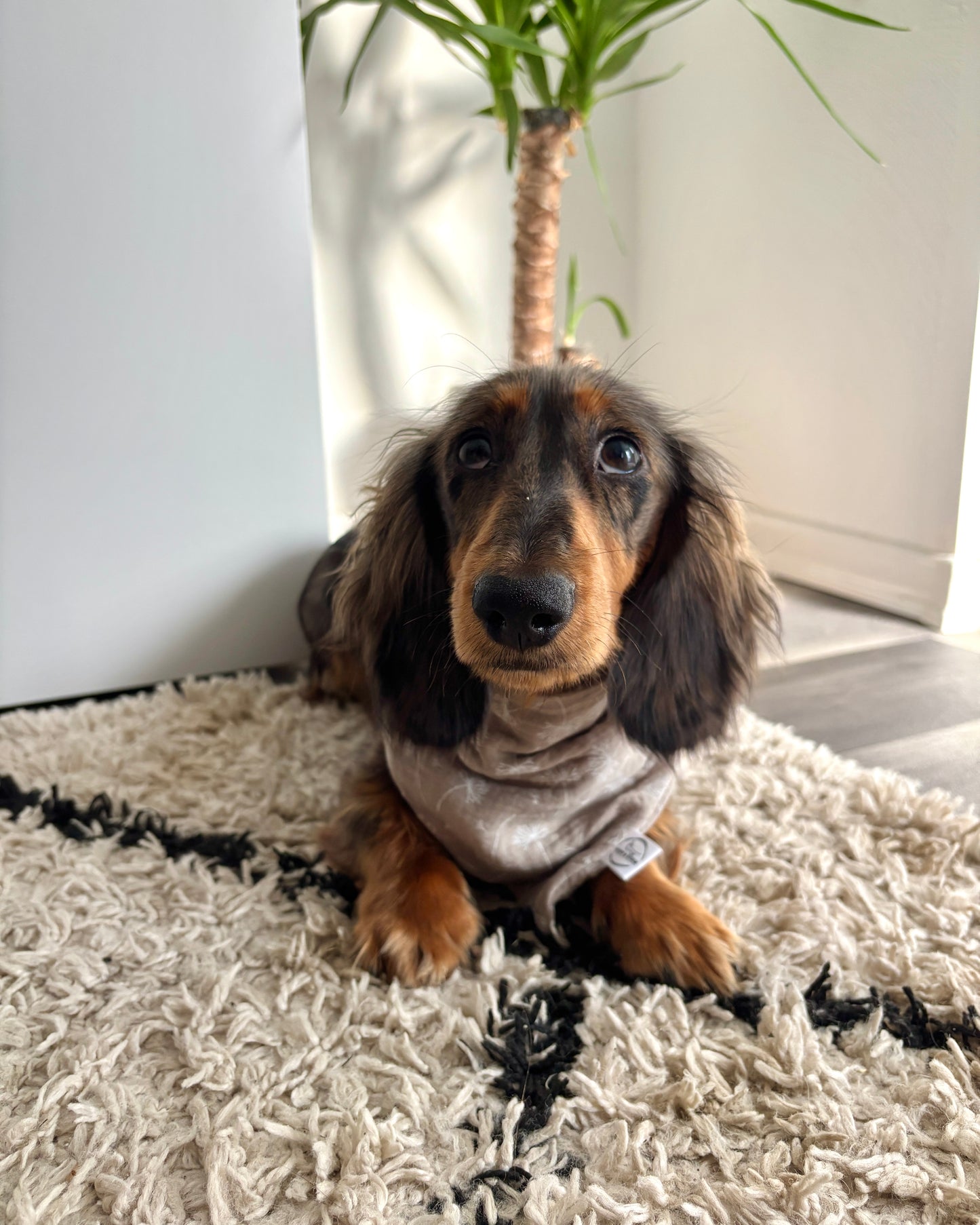 Halstuch Musselin „Pusteblume“ personalisiert