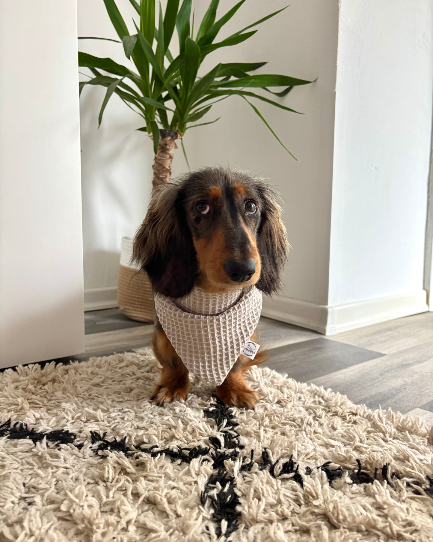 Halstuch „Waffle“