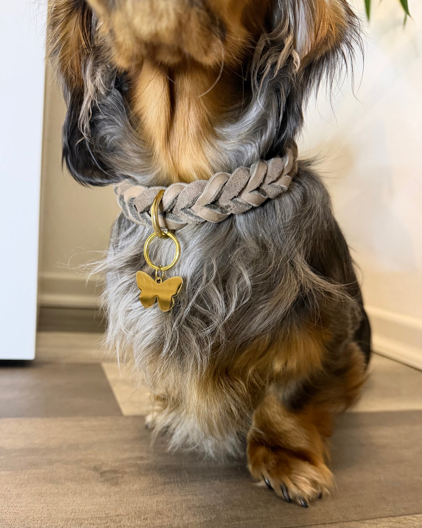 Hundemarke Schmetterling