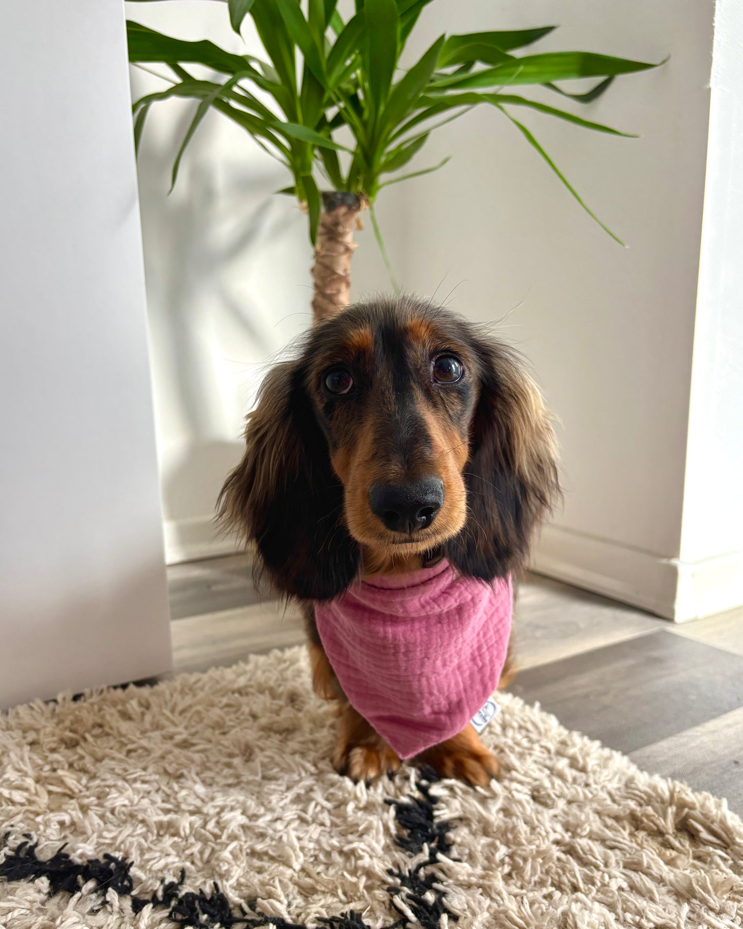 Halstuch Musselin „Alt Rosa“ personalisiert