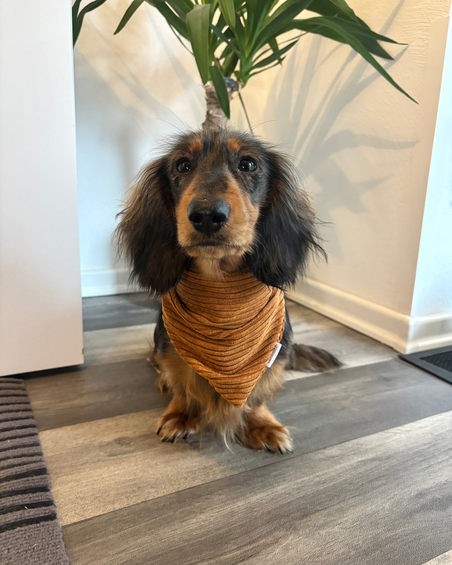 Halstuch Cord „Cognac“ personalisiert