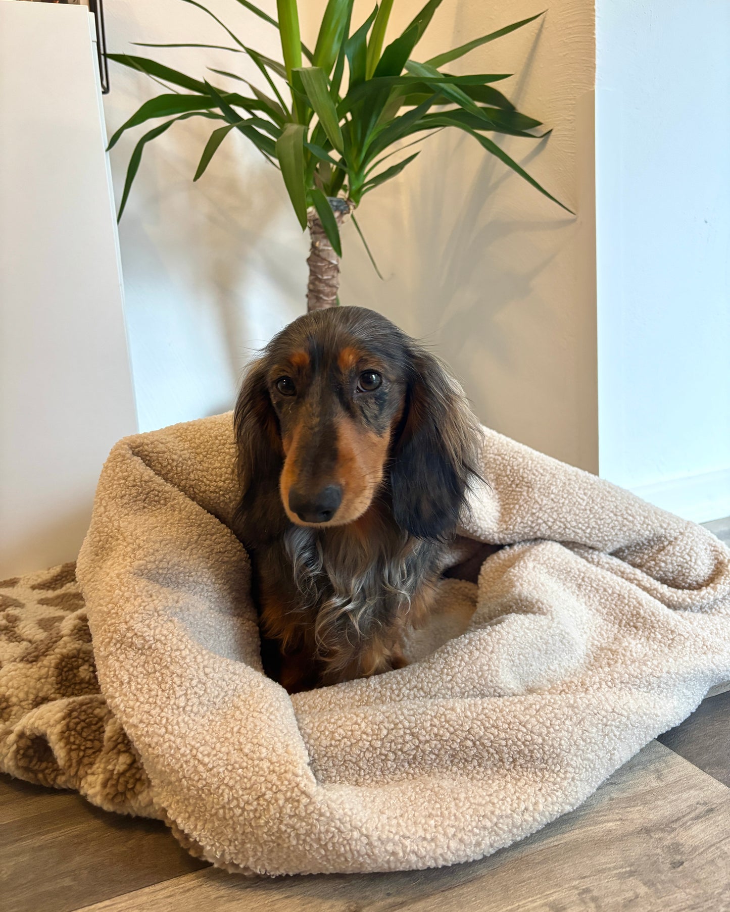 Kuschelsack zum Konfigurieren & Wenden