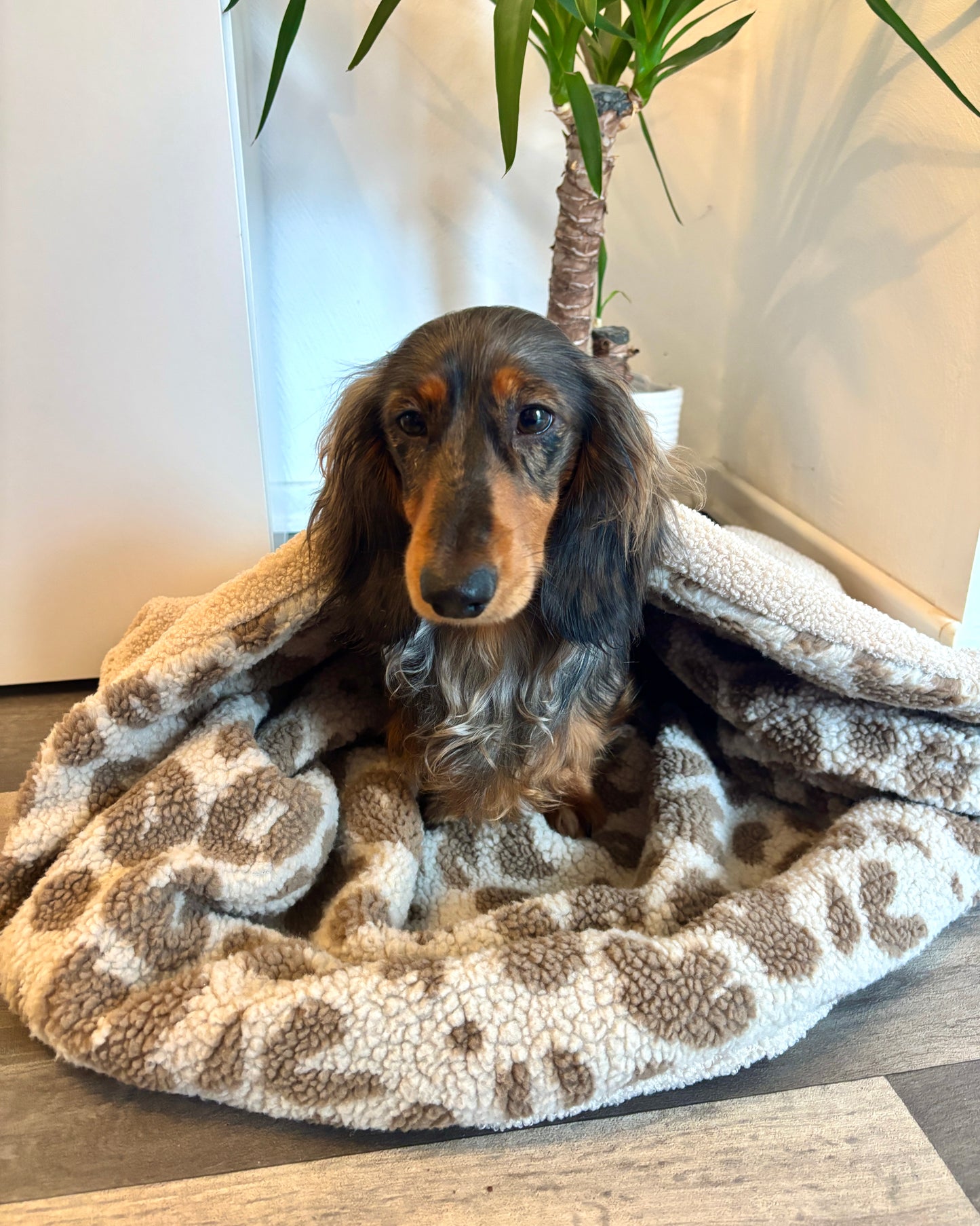 Kuschelsack zum Konfigurieren & Wenden