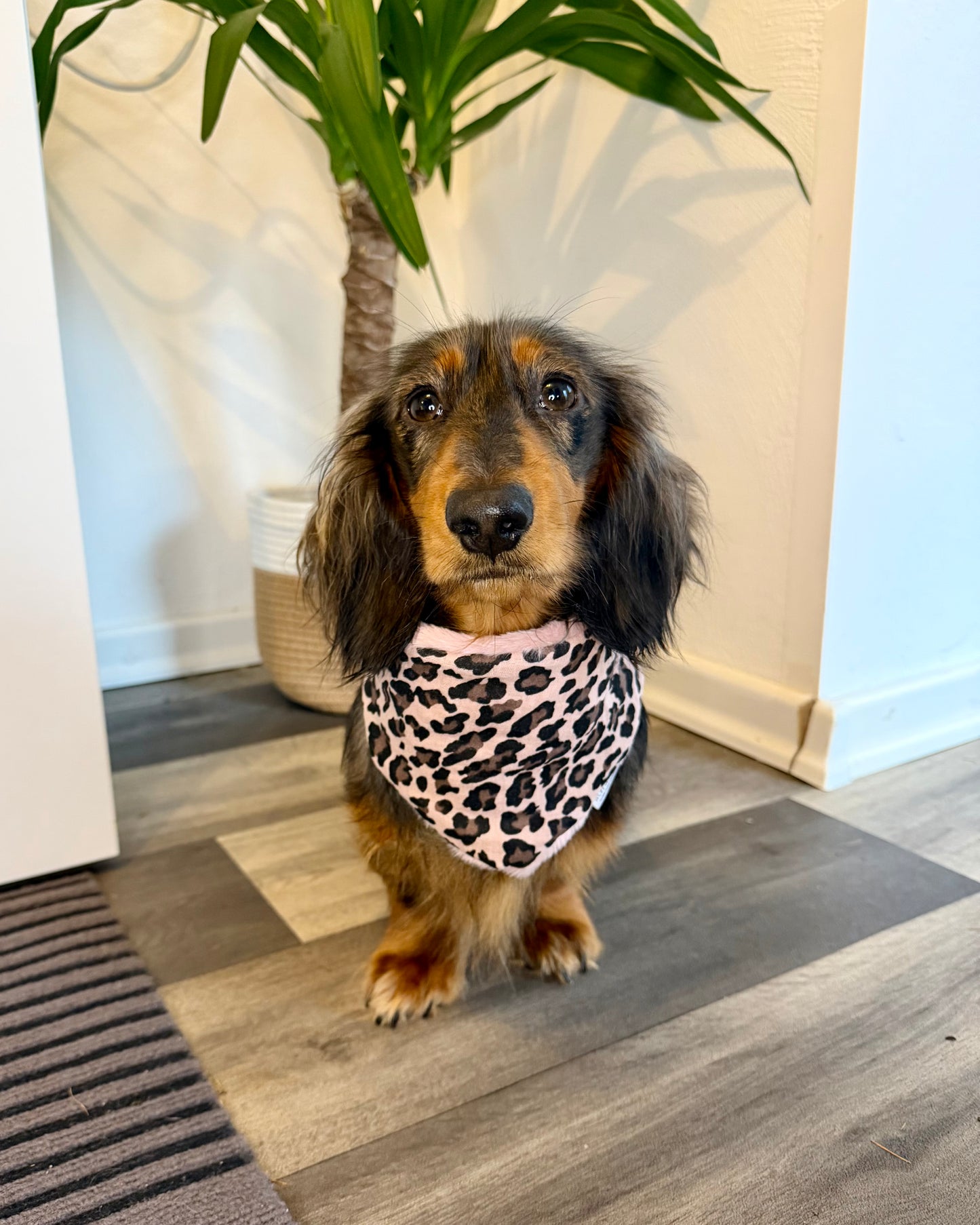 Wendehalstuch „Rosa Leo Dream“