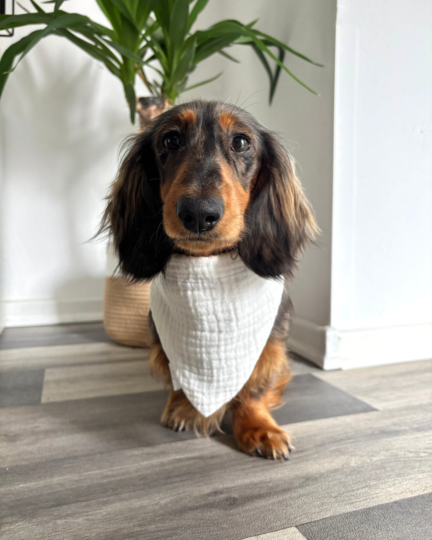 Halstuch Musselin „Whitey“ personalisiert