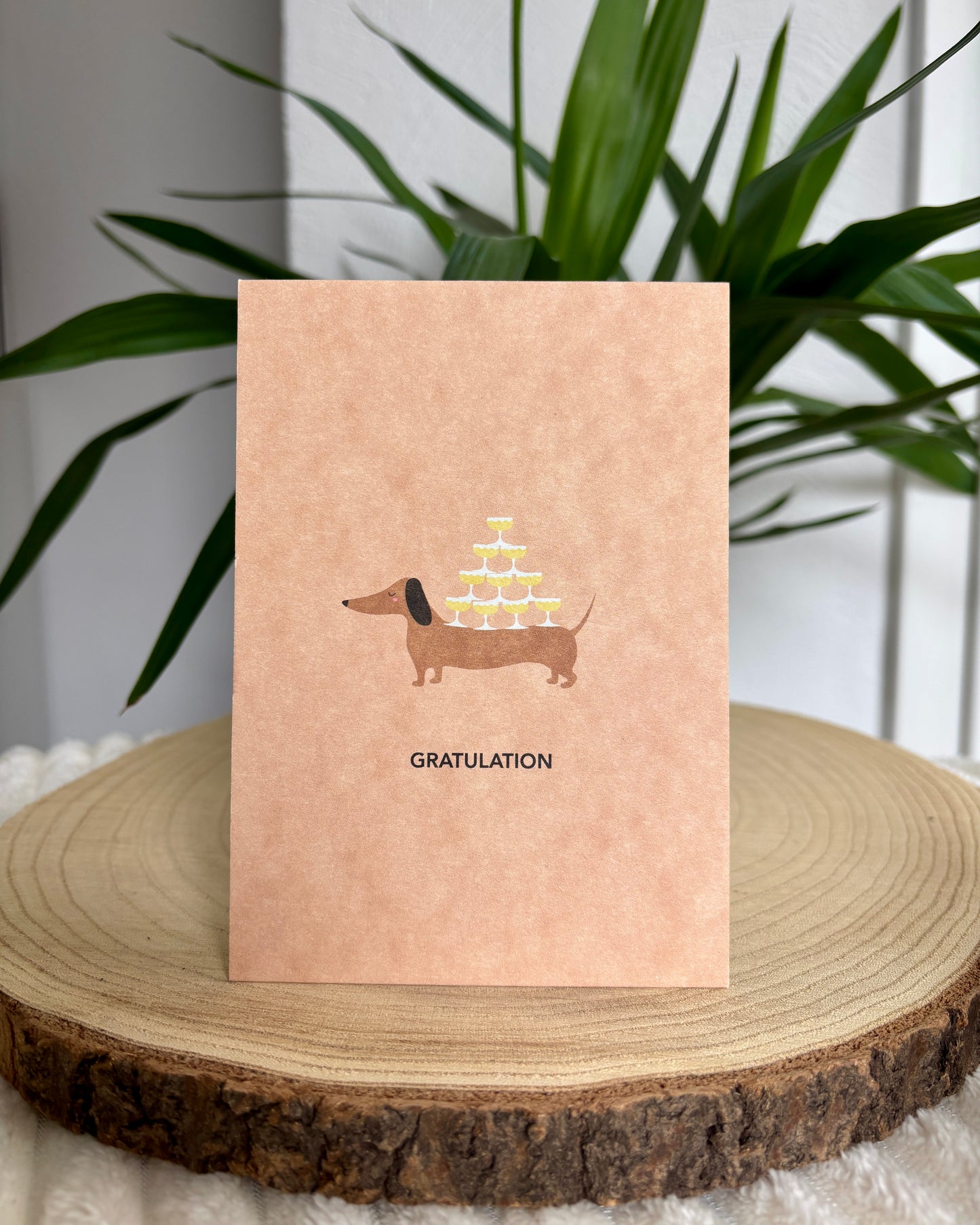 Postkarte Dackel verschiedene Anlässe