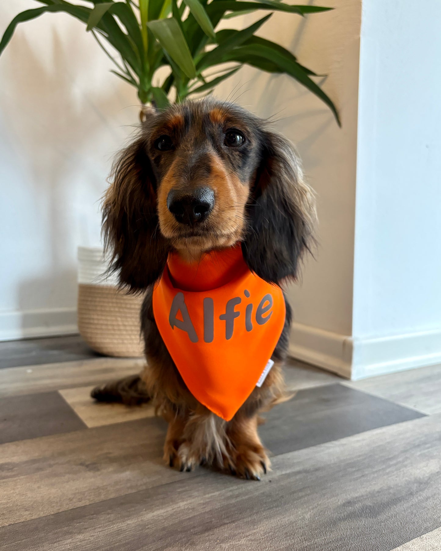 Reflektierendes Warnhalstuch personalisiert