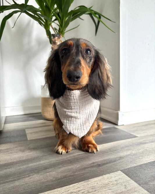 Halstuch Musselin „Creamy“ personalisiert