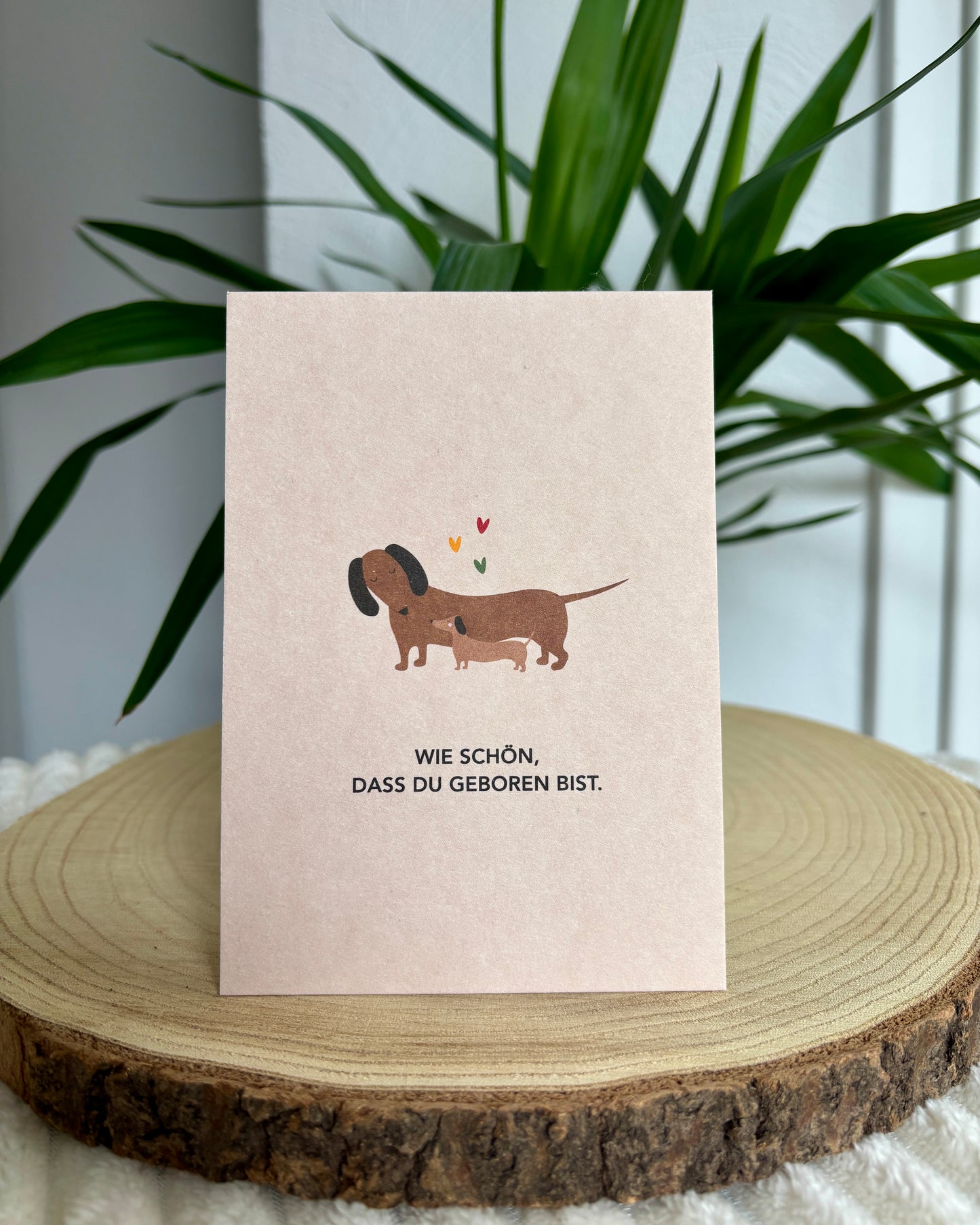 Postkarte Dackel verschiedene Anlässe