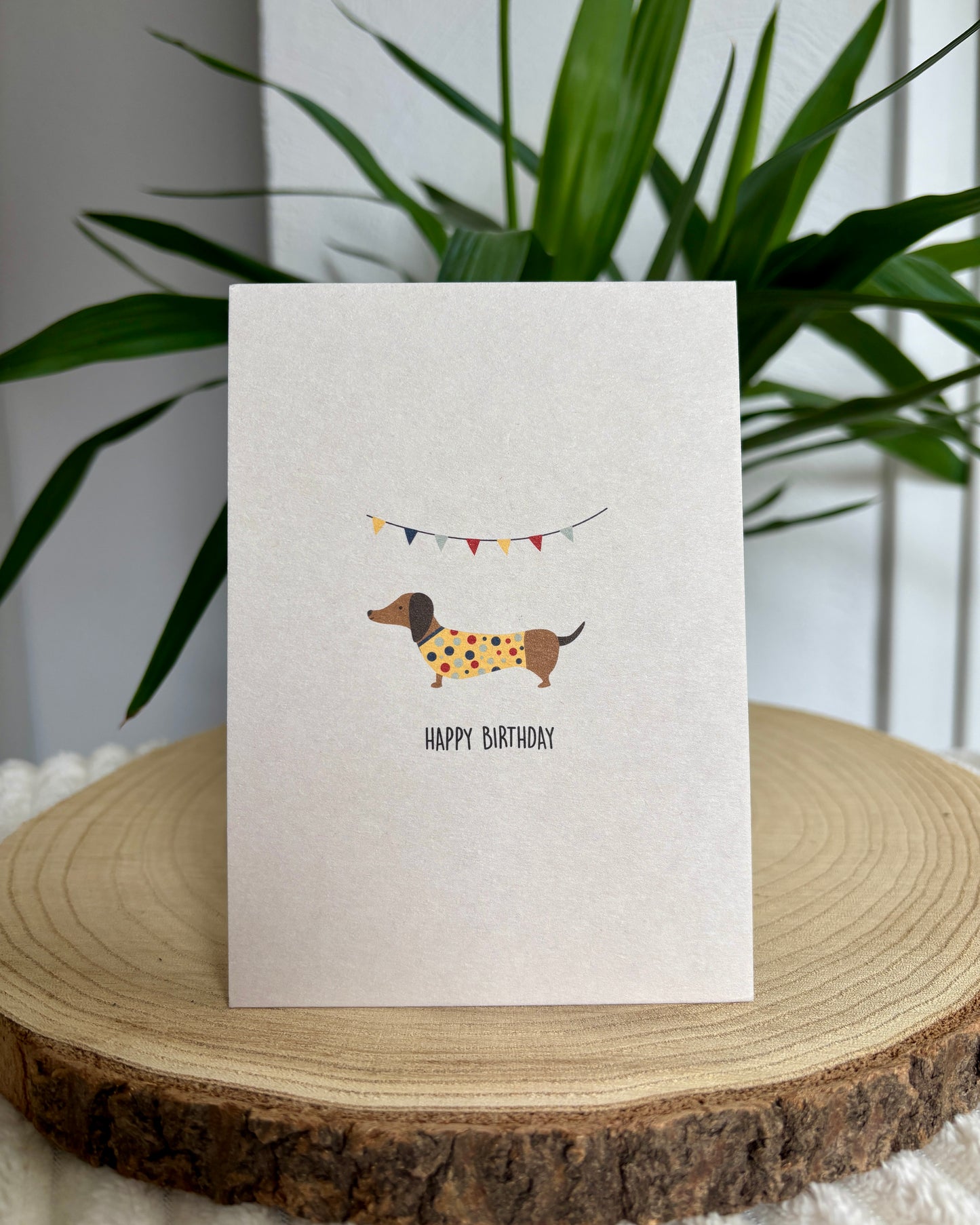 Postkarte Dackel verschiedene Anlässe