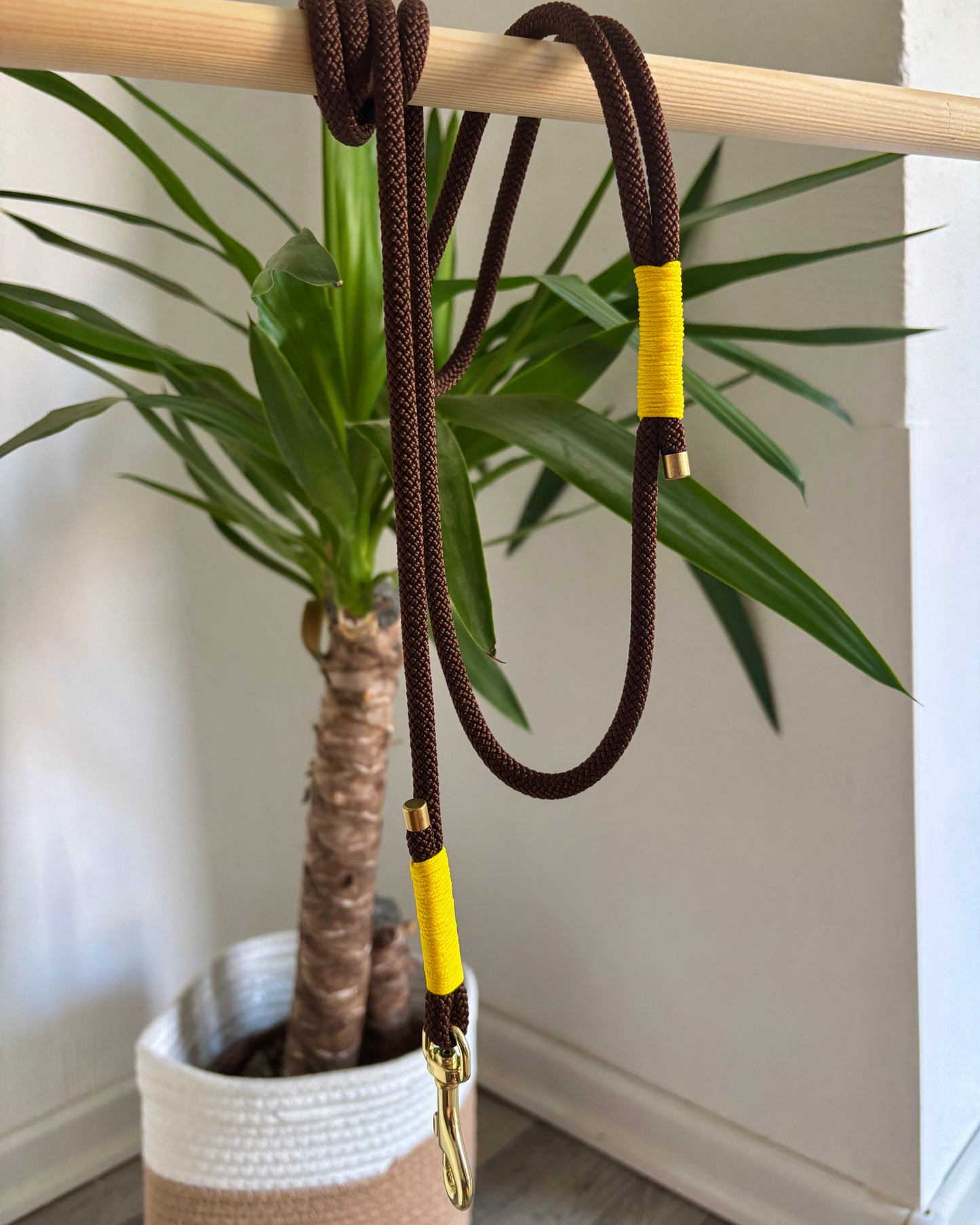 Standardleine Braun/Gelb