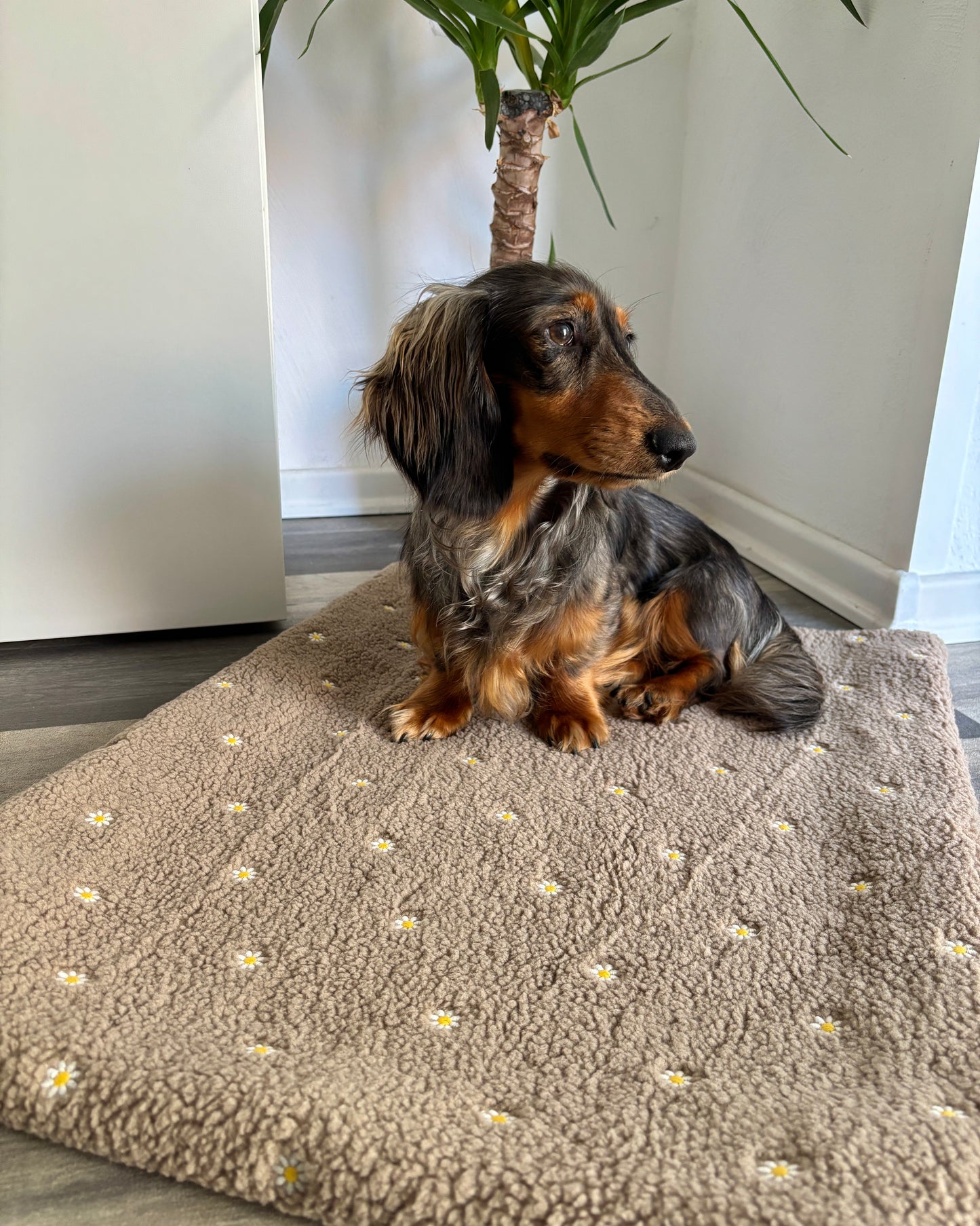 Kuscheldecke „Blümchen“