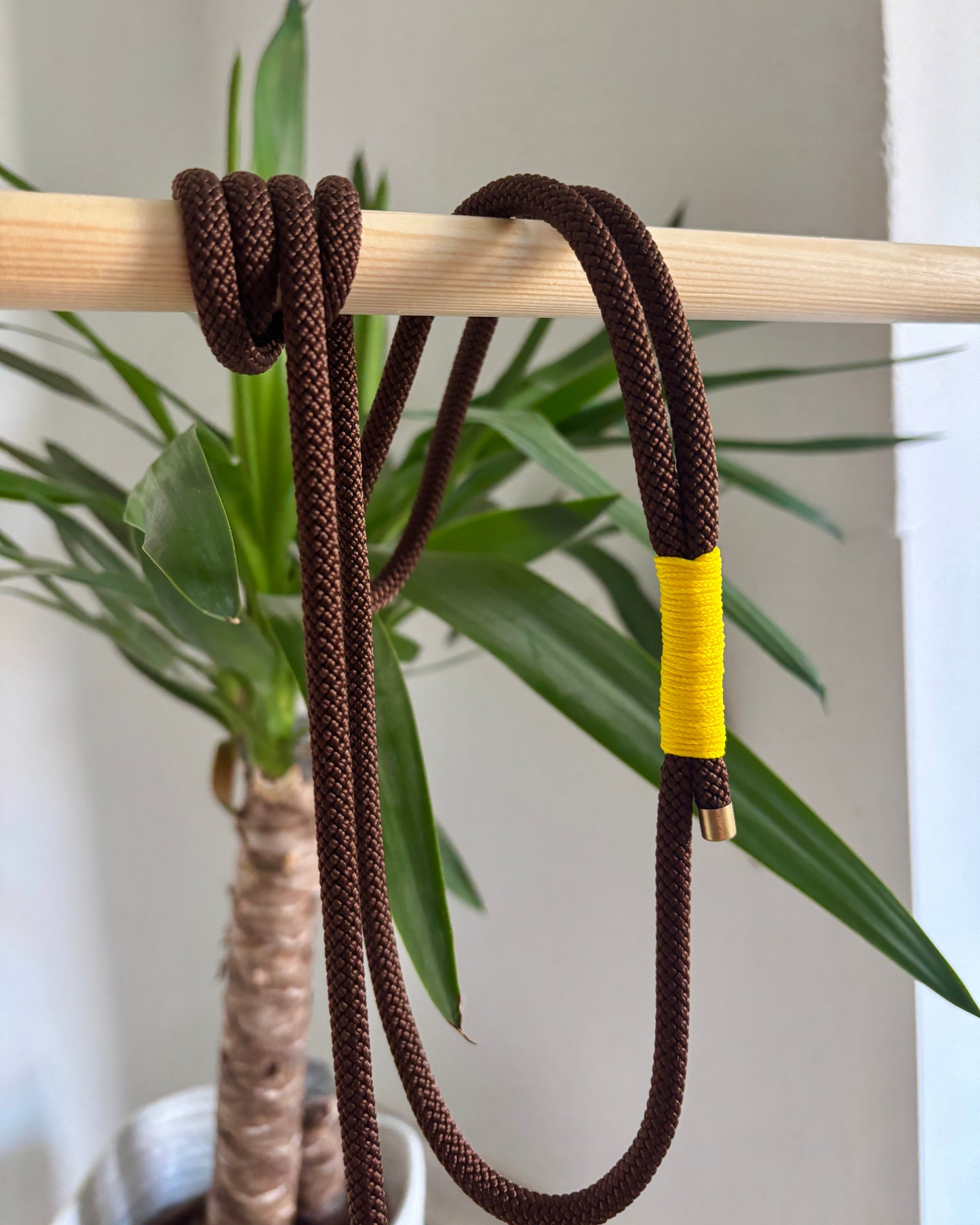 Standardleine Braun/Gelb