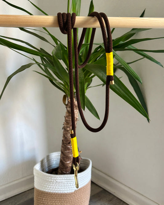 Standardleine Braun/Gelb