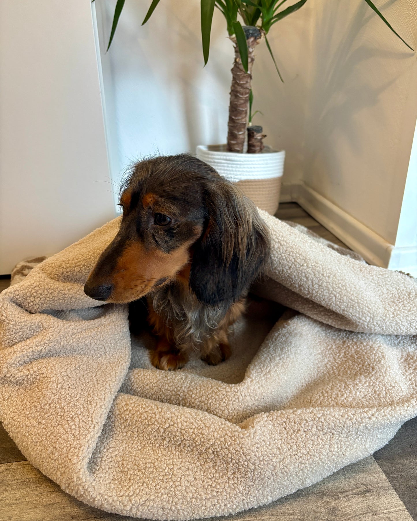 Kuschelsack zum Konfigurieren & Wenden