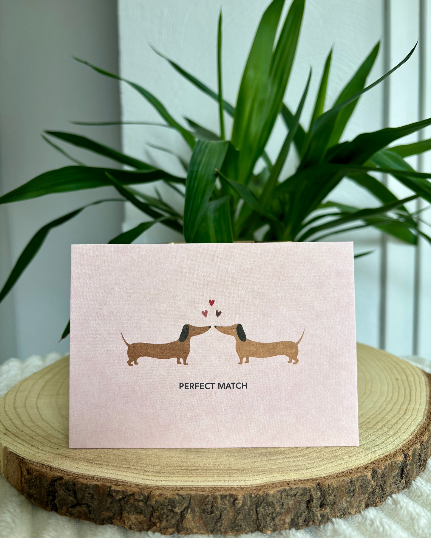 Postkarte Dackel verschiedene Anlässe