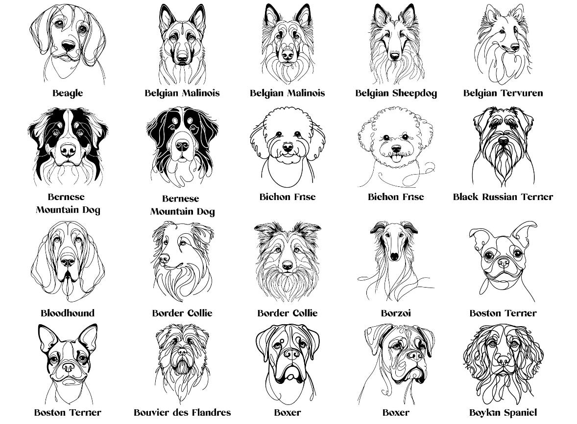 Heimtierausweishülle personalisiert