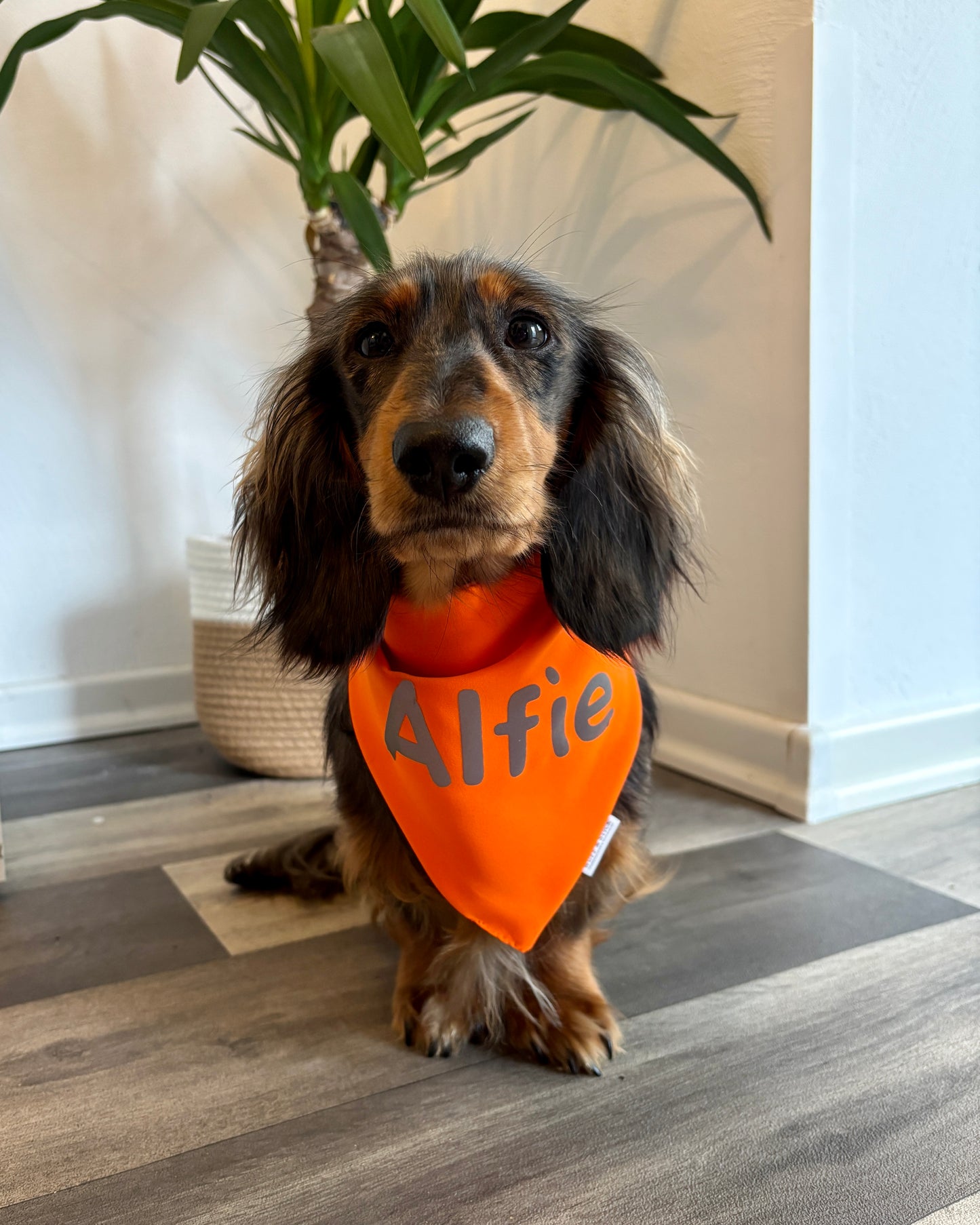 Reflektierendes Warnhalstuch personalisiert