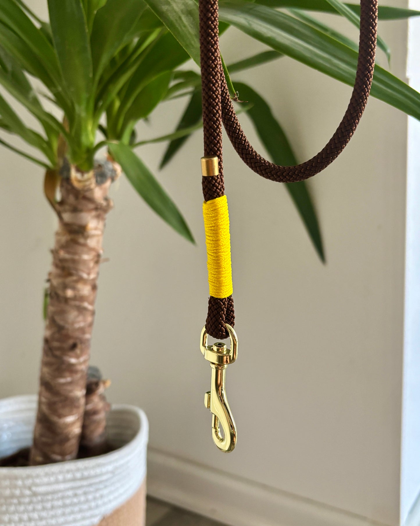 Standardleine Braun/Gelb