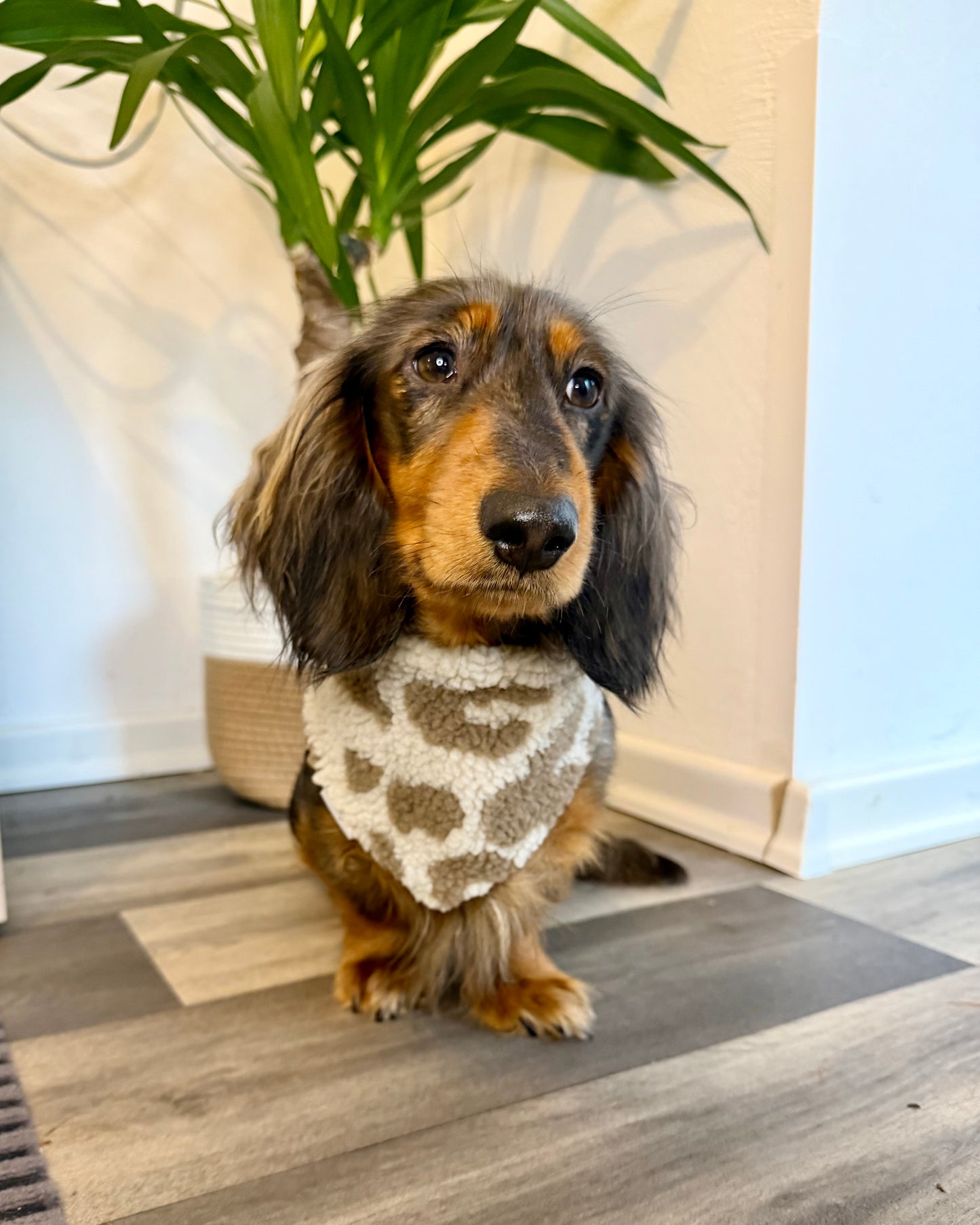 Halstuch „Teddy“ Leo