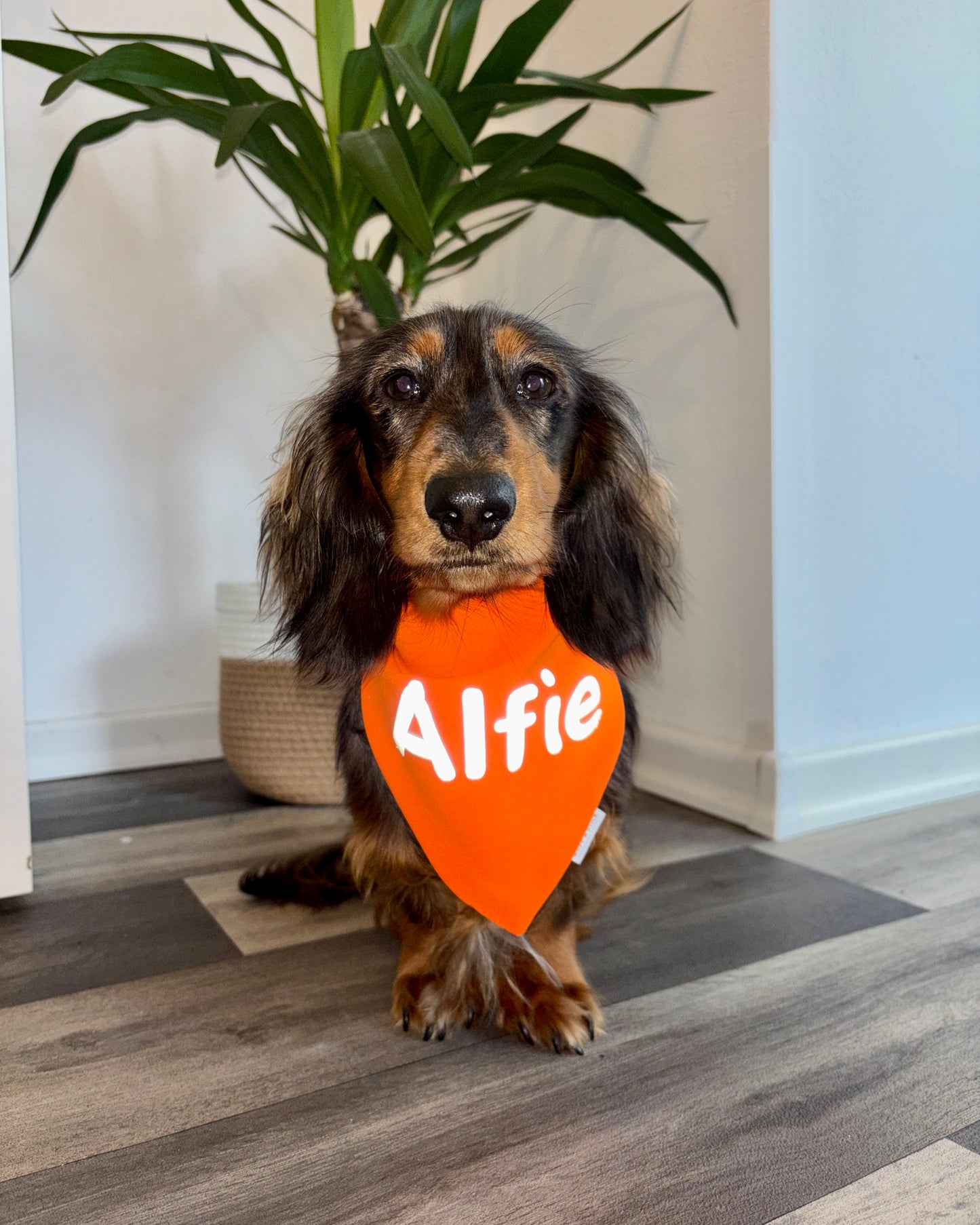 Reflektierendes Warnhalstuch personalisiert