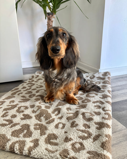 Kuscheldecke Leo hell