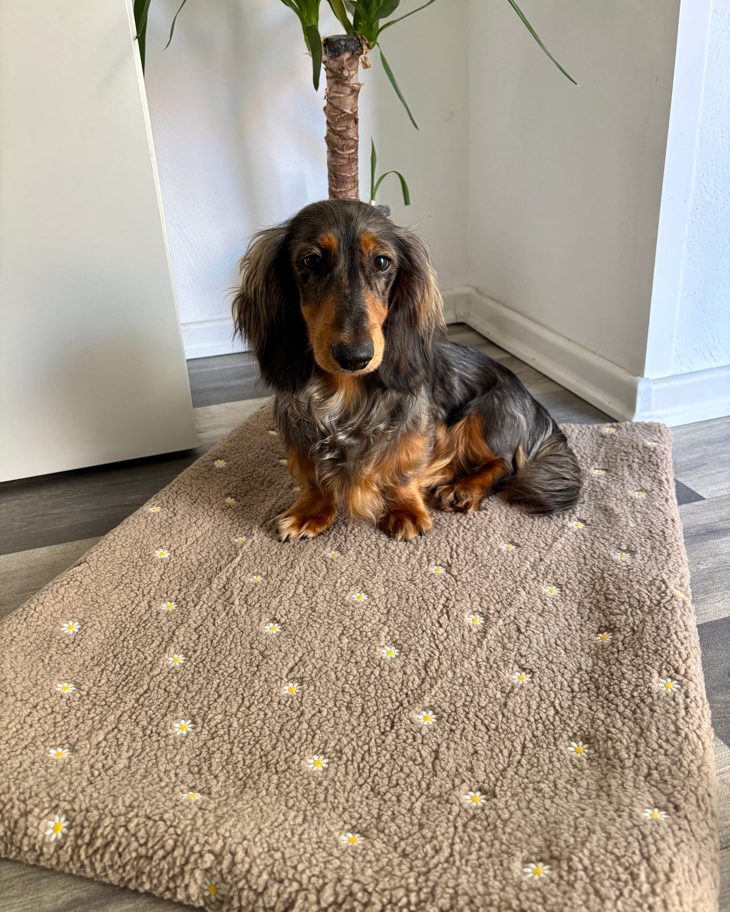 Kuscheldecke „Blümchen“