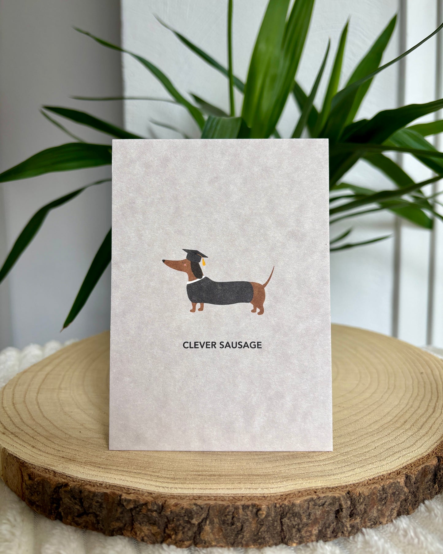 Postkarte Dackel verschiedene Anlässe