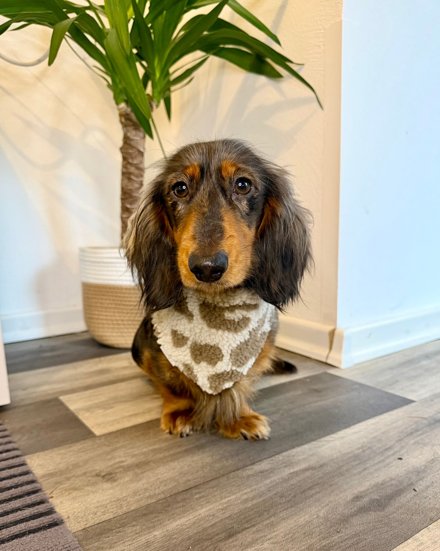 Halstuch „Teddy“ Leo