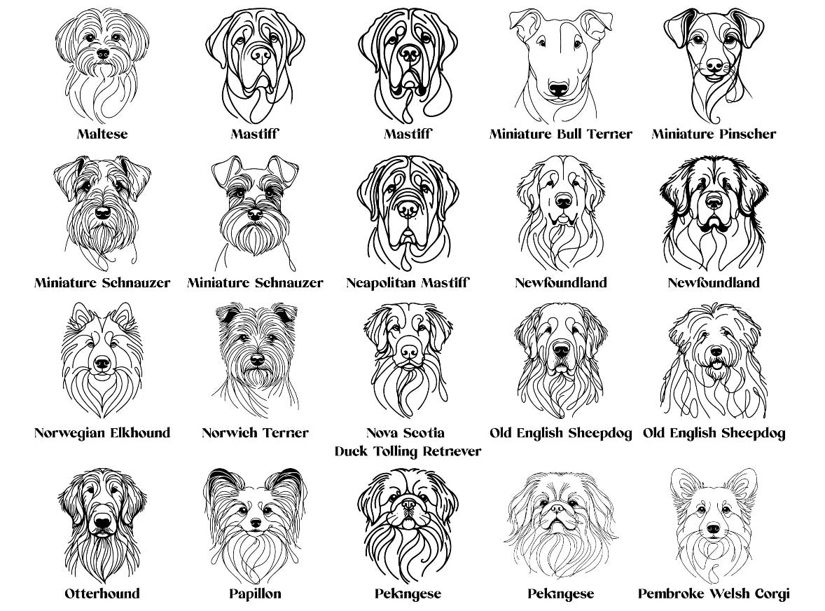 Heimtierausweishülle personalisiert