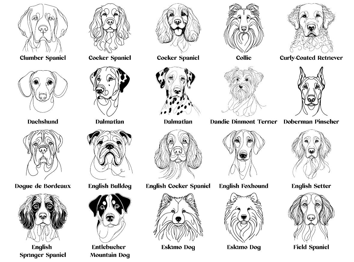 Heimtierausweishülle personalisiert