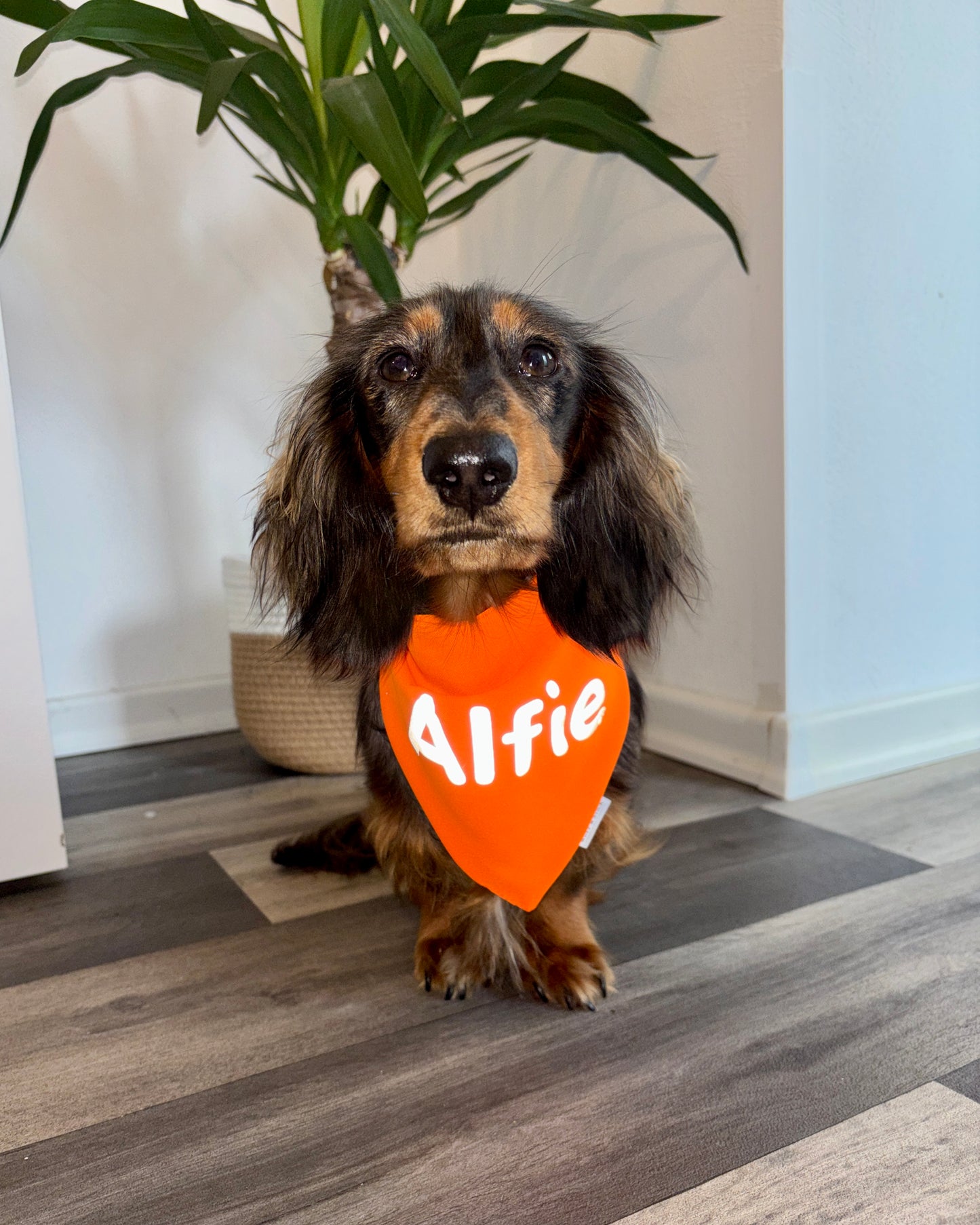 Reflektierendes Warnhalstuch personalisiert