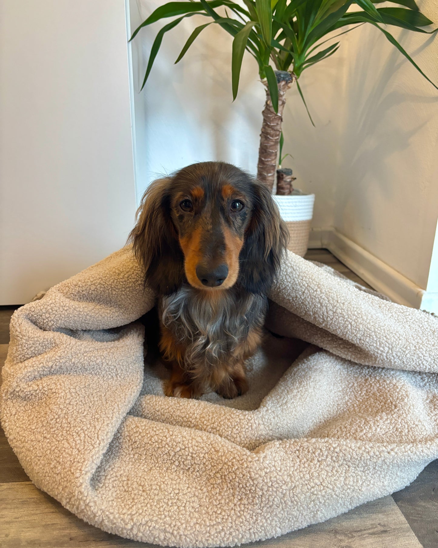 Kuschelsack zum Konfigurieren & Wenden