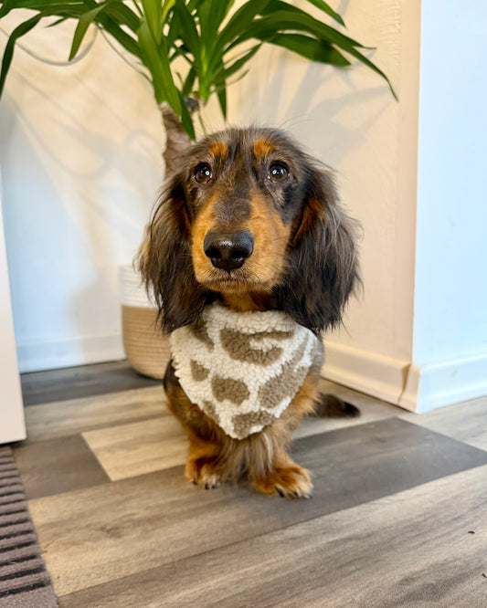 Halstuch „Teddy“ Leo