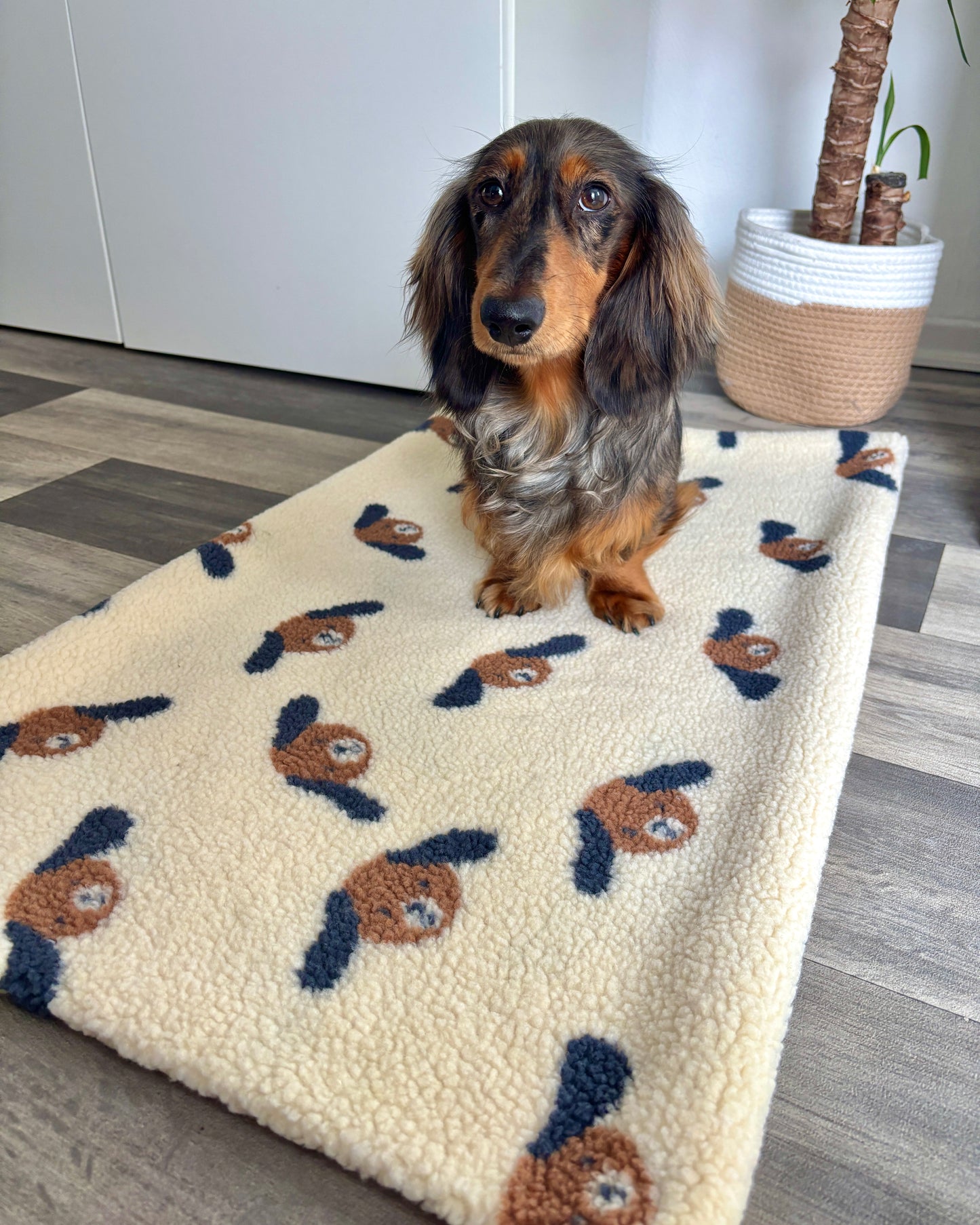 Kuscheldecke „Hundis“