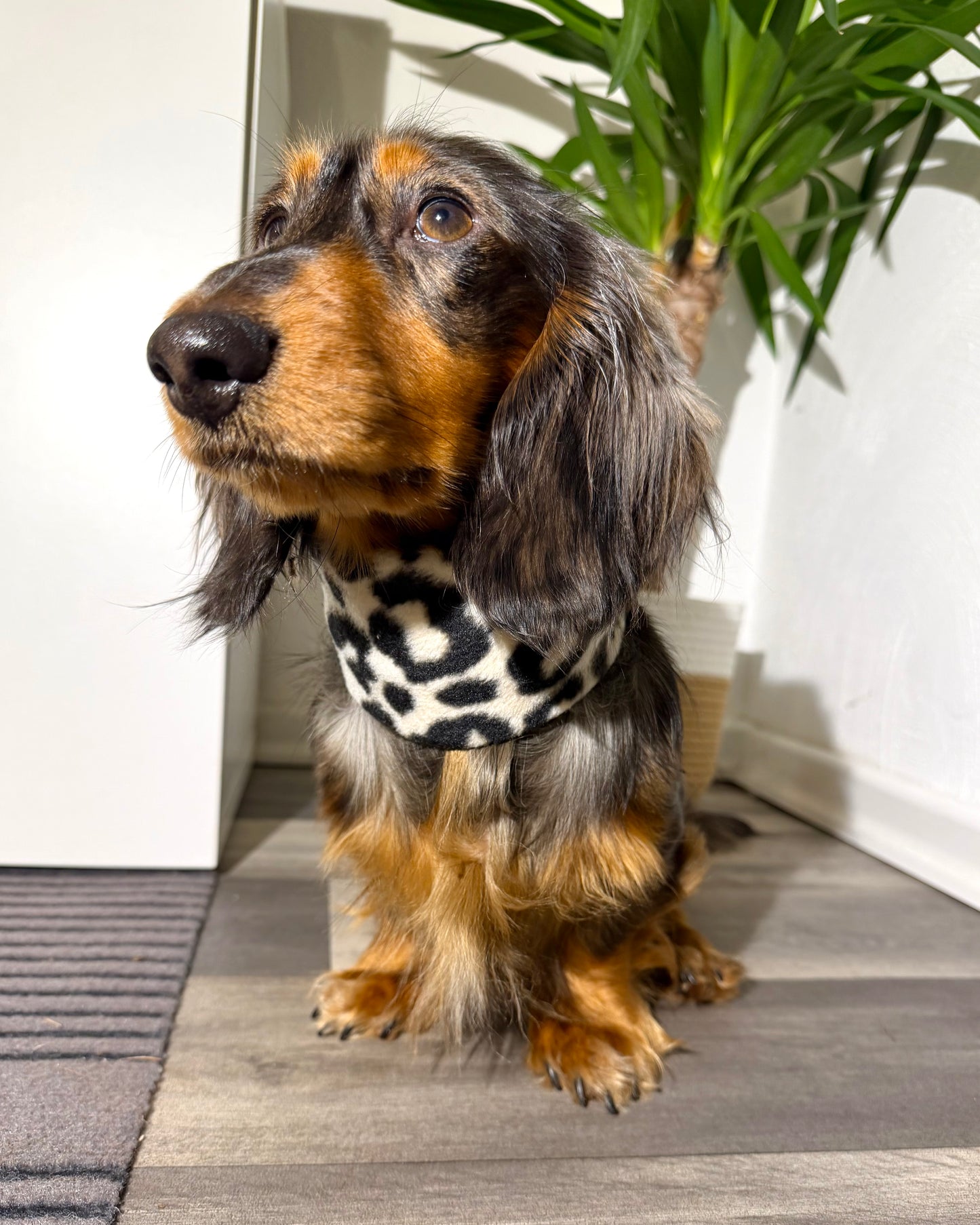 Hundeloop Fleece Leo