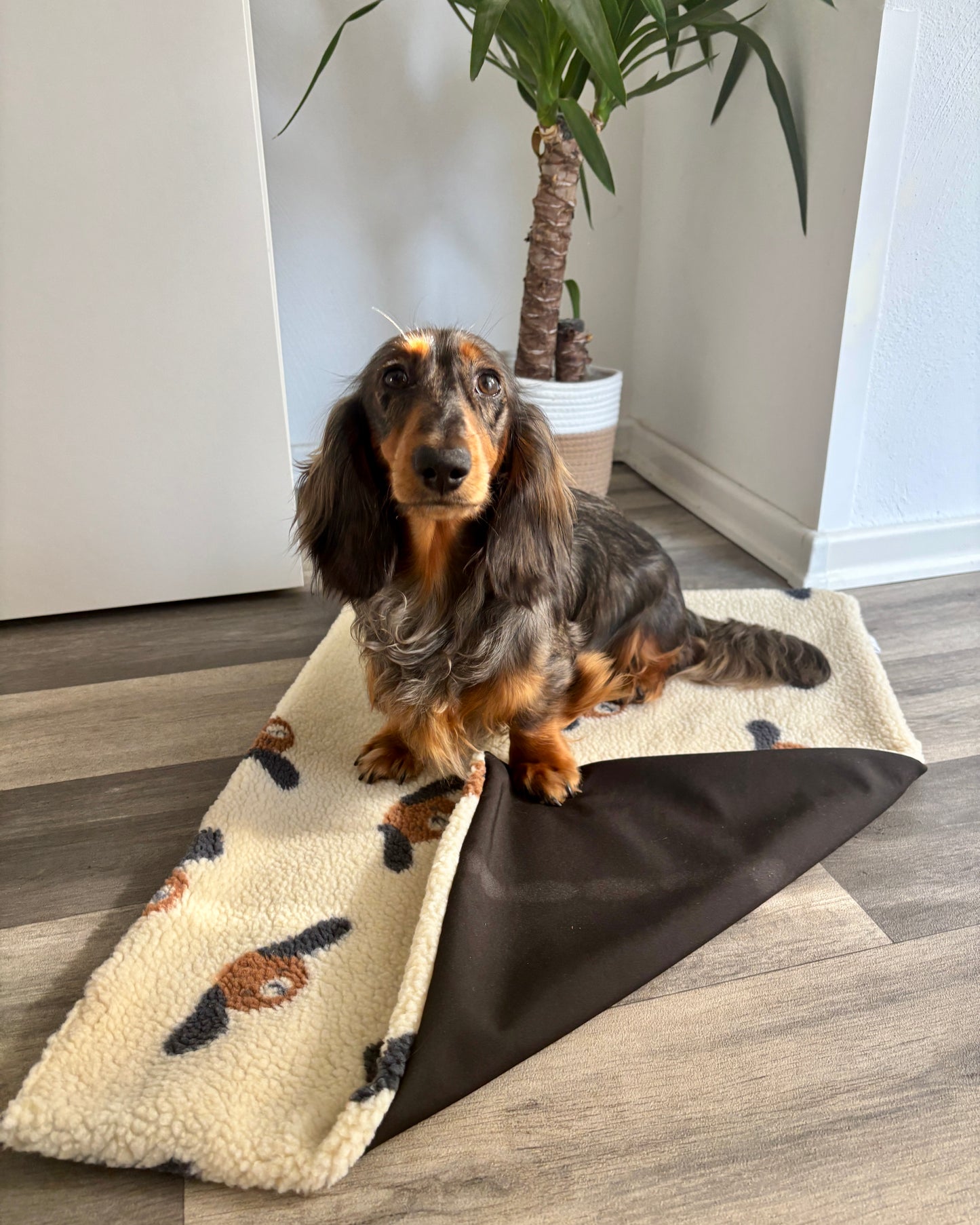 Outdoor Kuscheldecke „Hundis“