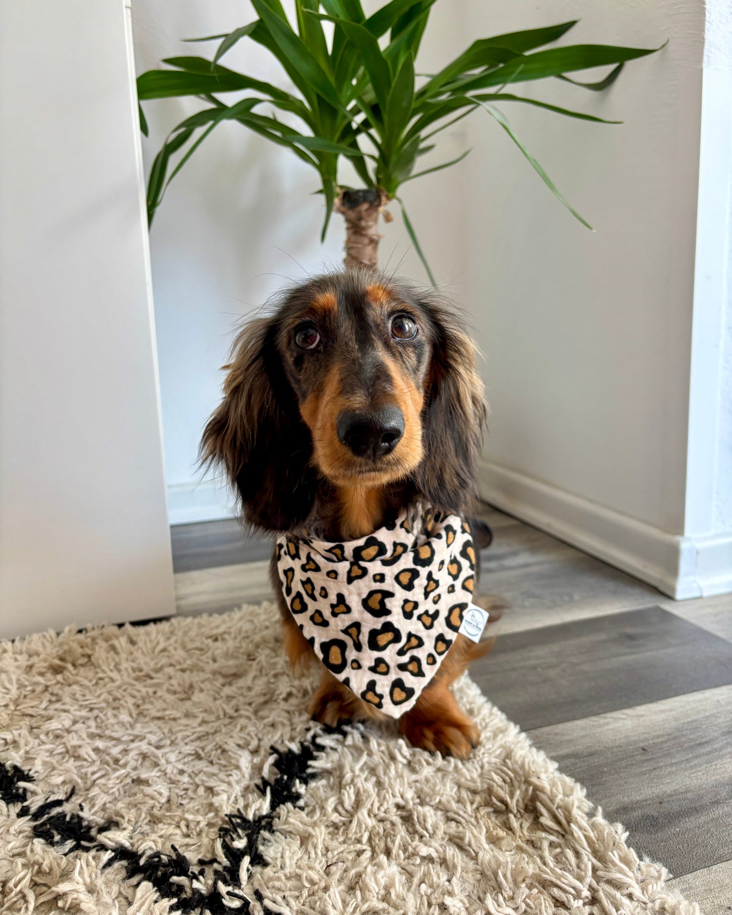 Halstuch Musselin „Leo Dream“