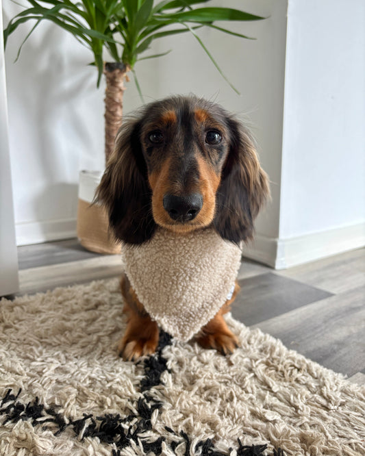 Halstuch „Teddy“ Beige