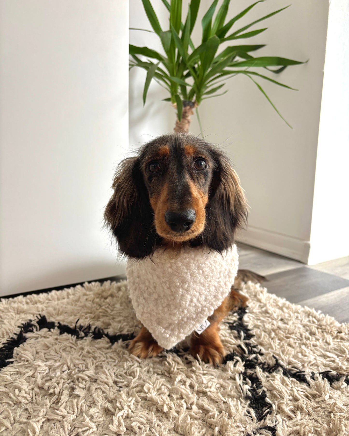 Halstuch „Teddy“ Weiß